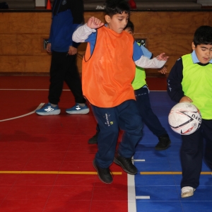 Día de la Actividad Física
